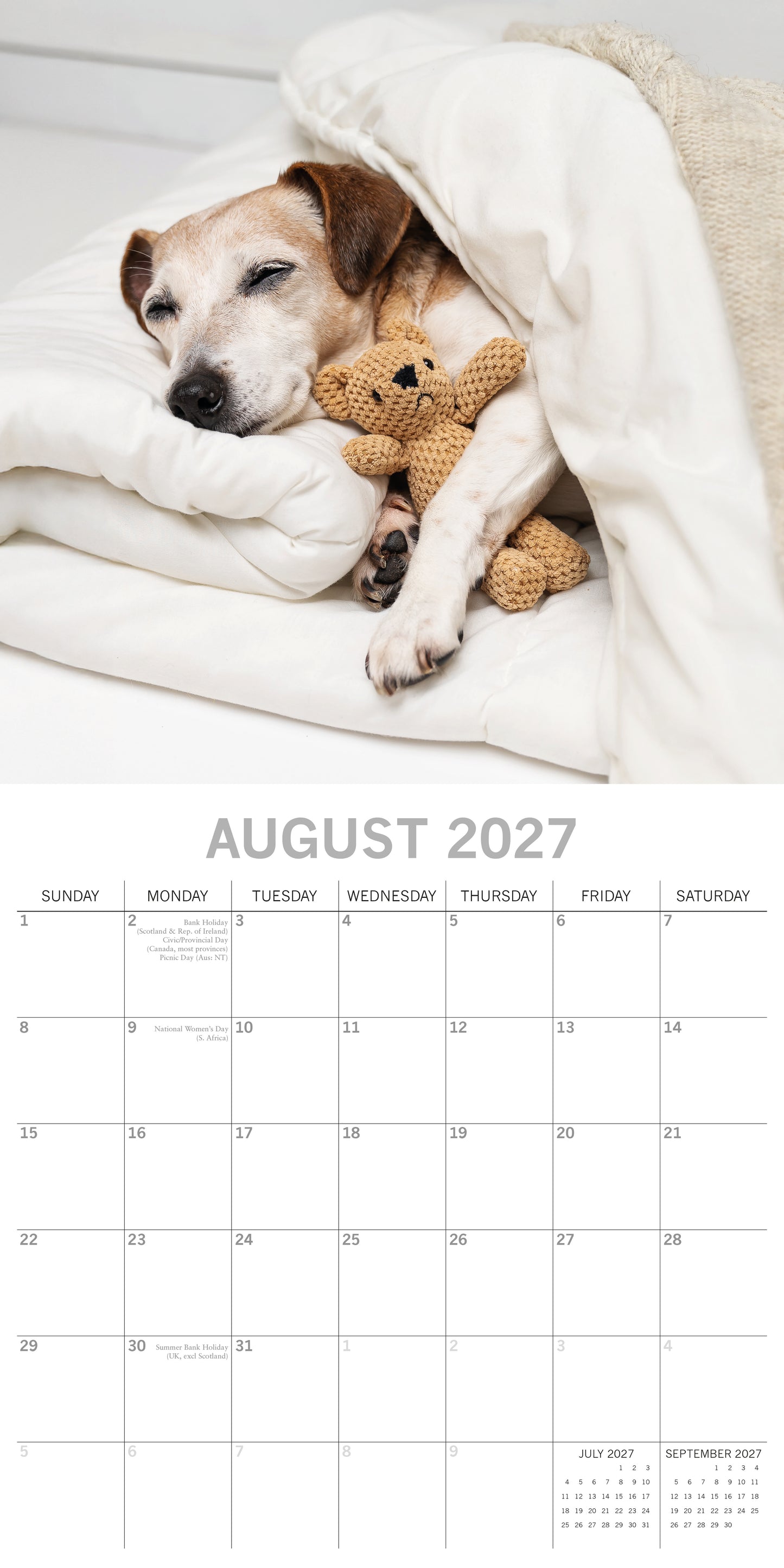 Dog Naps 2027 Square Calendar