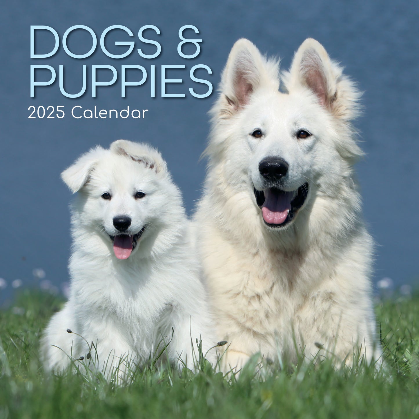 Dogs And Puppies Square 2025 Calendar