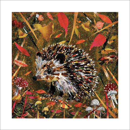 Hedgehog 'Autumn Forage' Greeting Card - by Adam James Severn