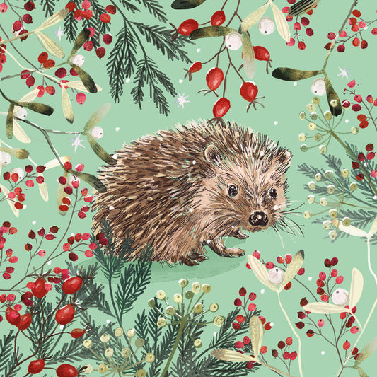Christmas Cards Pack of 10 - Berry Merry Hedgehog