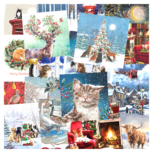 Bumper Pack Christmas Cards - Pack 20
