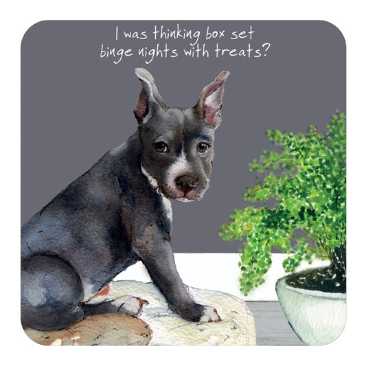Staffordshire Bull Terrier Coaster - 'I was thinking box set binge nights with treats?'