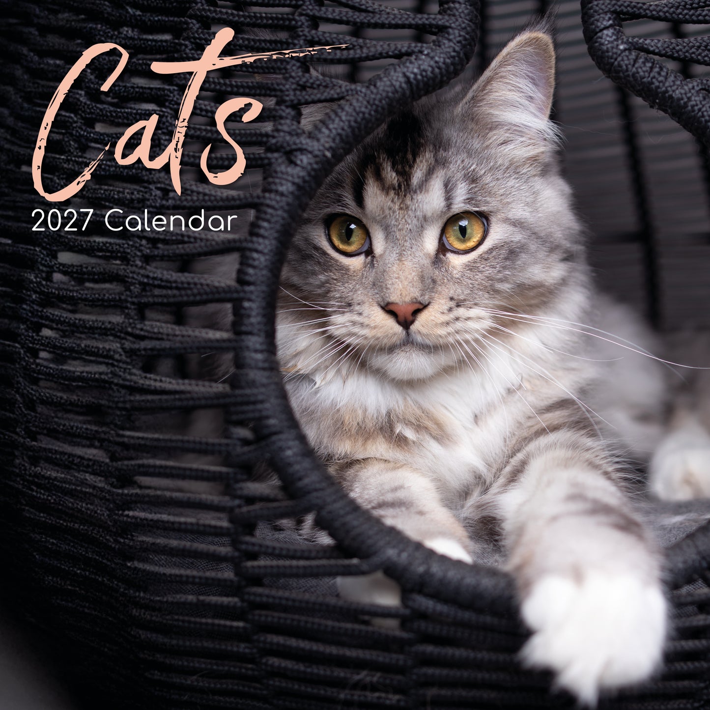 Cats 2027 Square Calendar