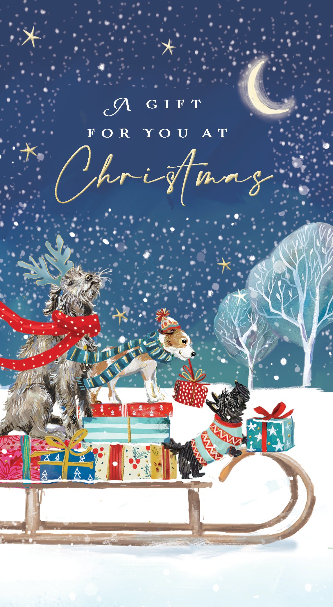 Christmas Sleigh Dogs Money Wallet