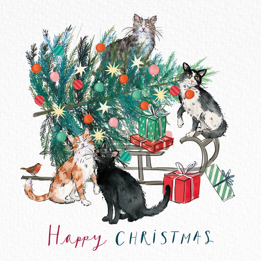 Christmas Cards Pack of 10 - Christmas Tree Cats