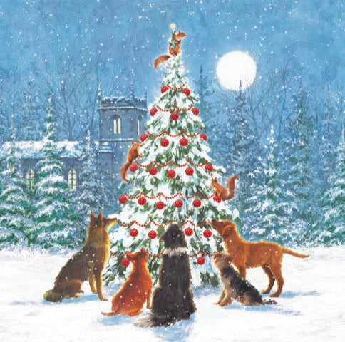 Christmas Cards Pack of 10 - Christmas Tree Dogs