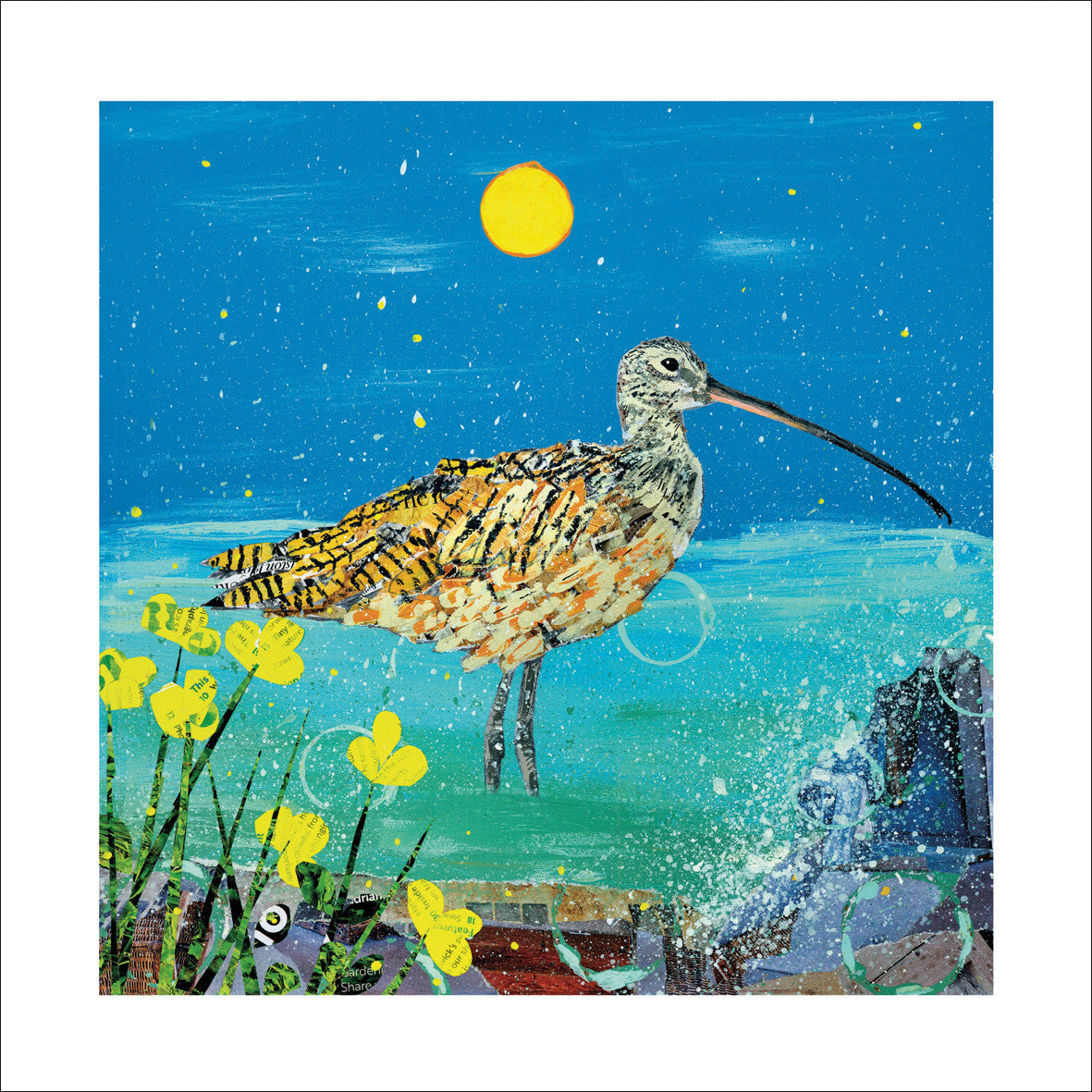 Cornish Curlew Greeting Card - by Adam James Severn