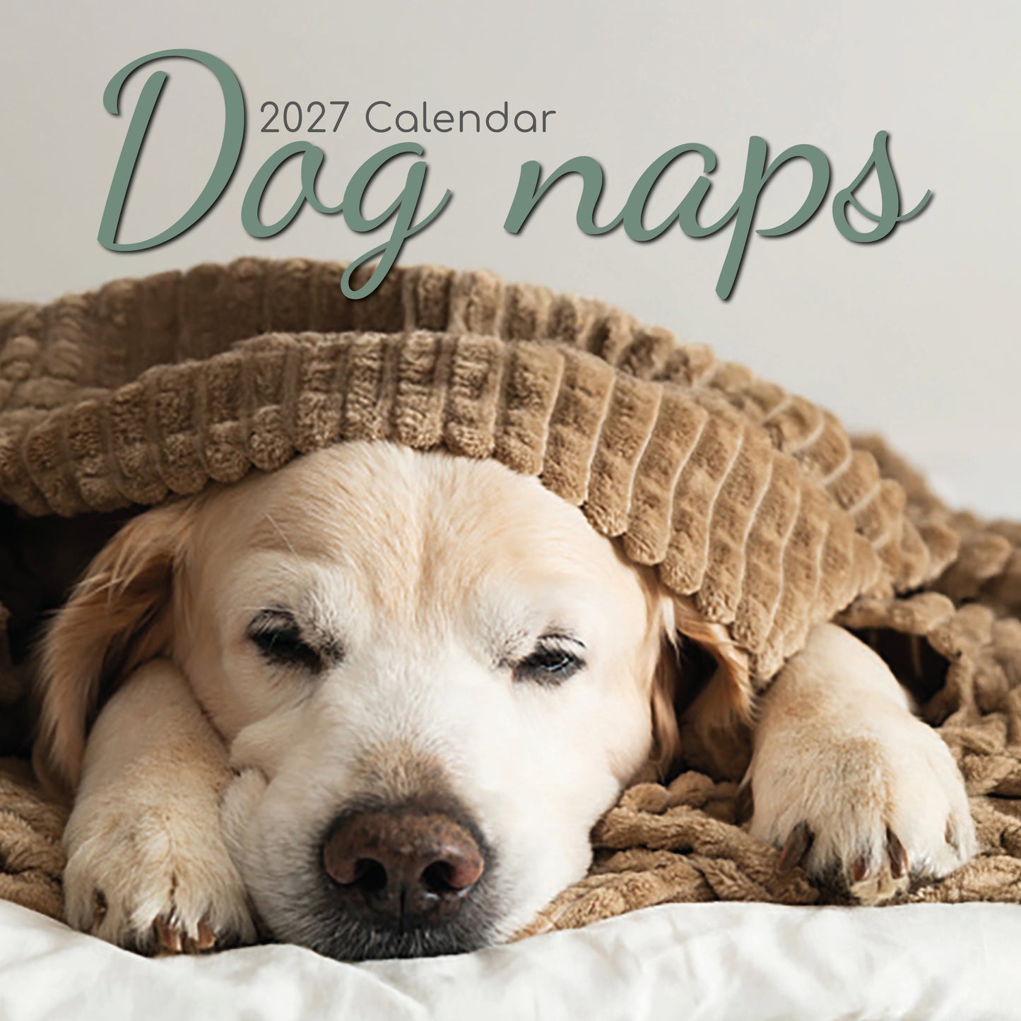 Dog Naps 2027 Square Calendar