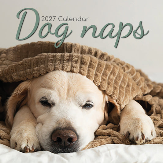 Dog Naps 2027 Square Calendar