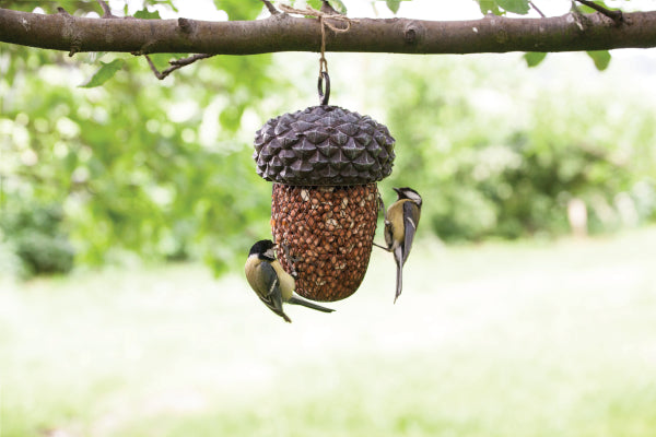 Acorn Bird Feeder