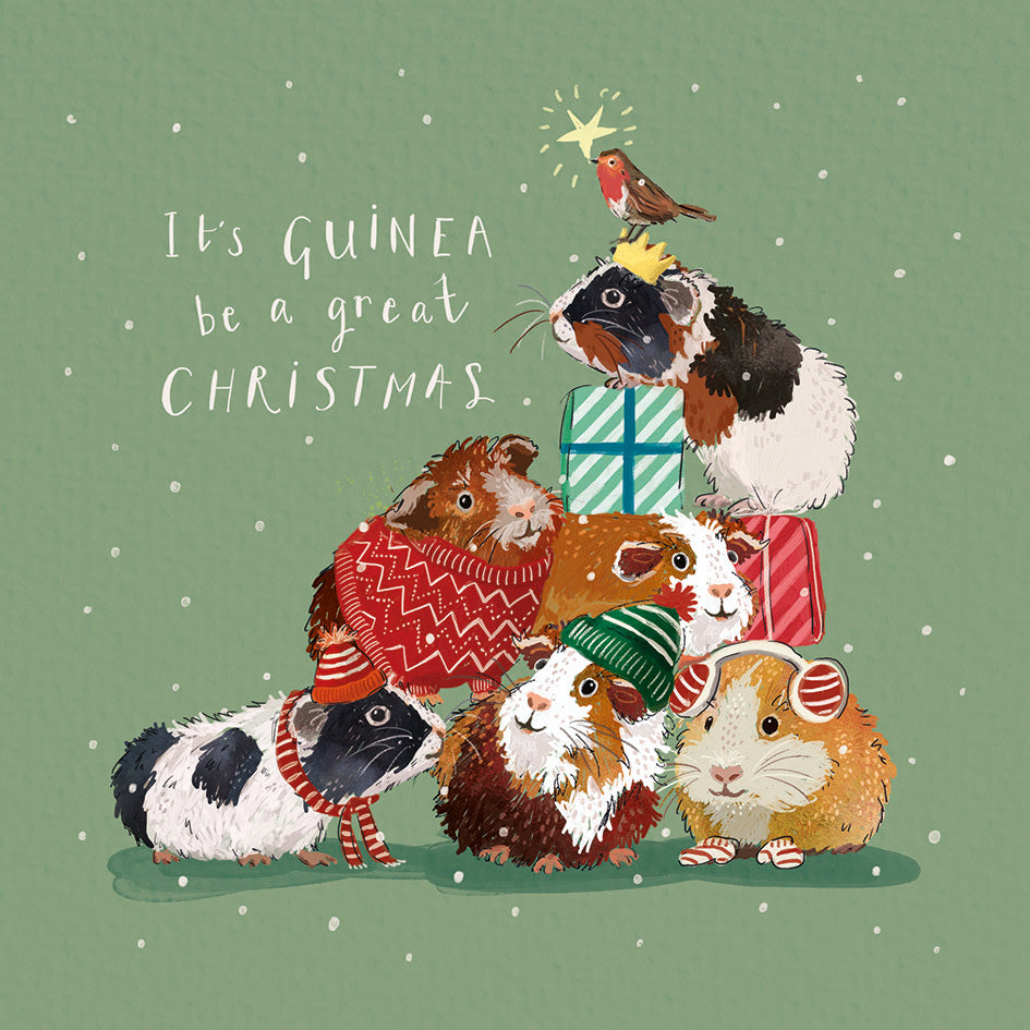 Christmas Cards Pack of 10 - Guinea Gifts