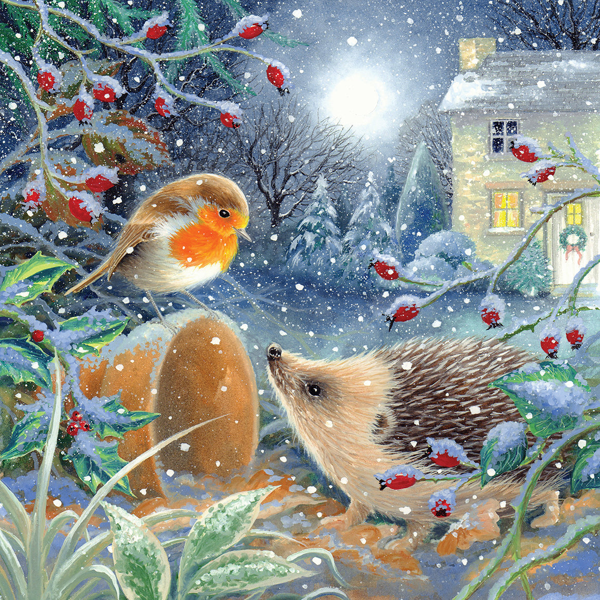 Christmas Cards Pack of 10 - Little Robin & Hedgehog