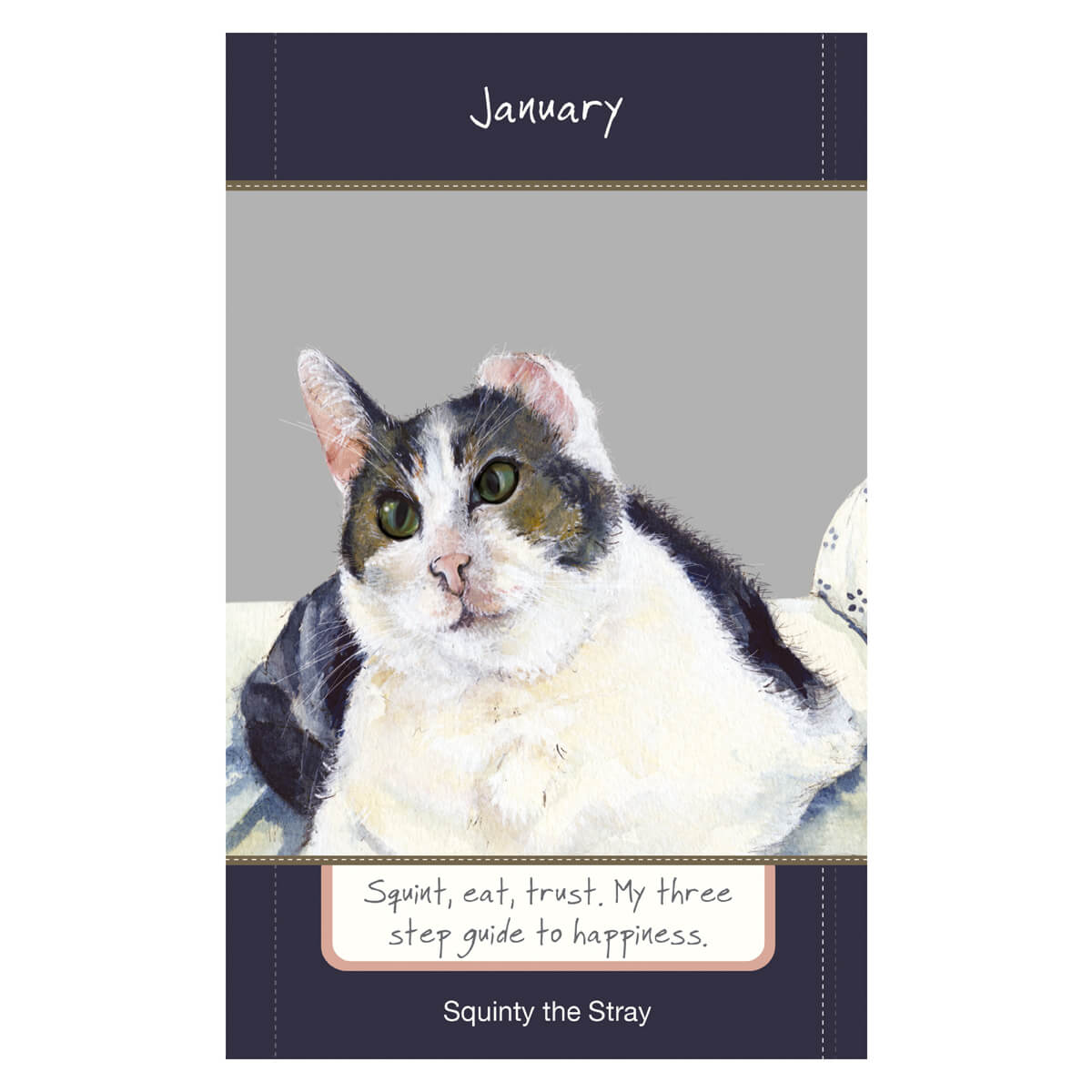 Magnificent Moggies 2025 Diary - by Little Dog Laughed