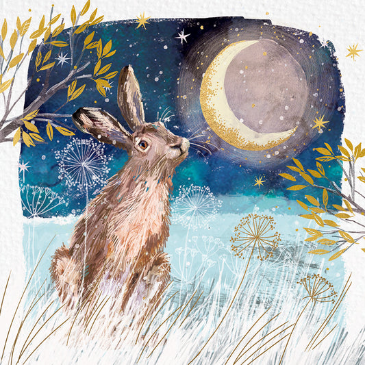 Christmas Cards Pack of 10 - Moonlit Hare