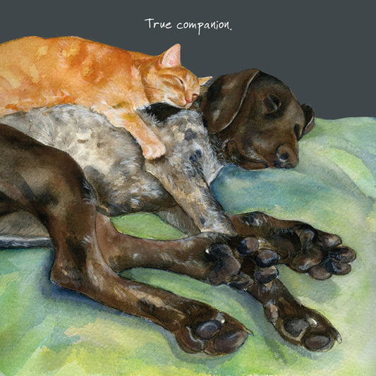 German Shorthaired Pointer 'True Companion' Greeting Card