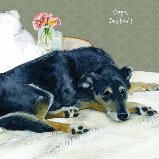 Rescue Dog 'Oops Busted!' Greeting Card - by Little Dog Laughed