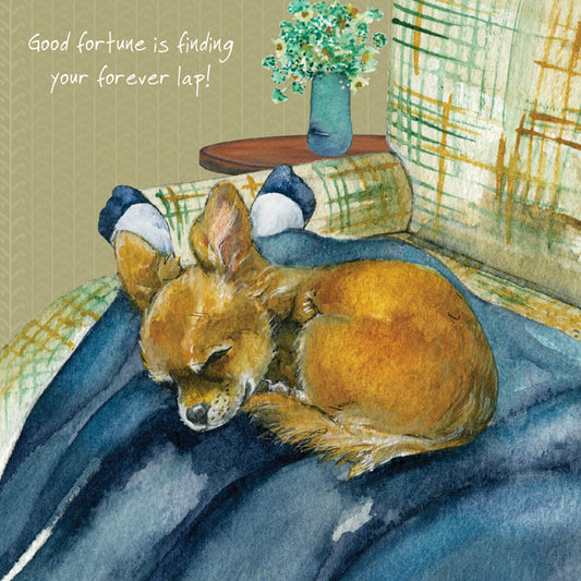 Chihuahua 'Forever Lap' Greeting Card