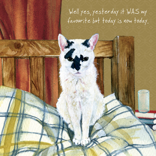 Rescue Cat 'Yesterday' Greeting Card