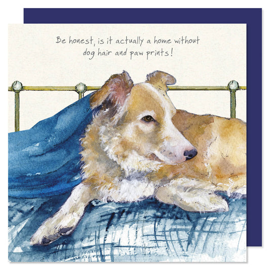 Border Collie 'Be Honest is it a home' Greeting Card