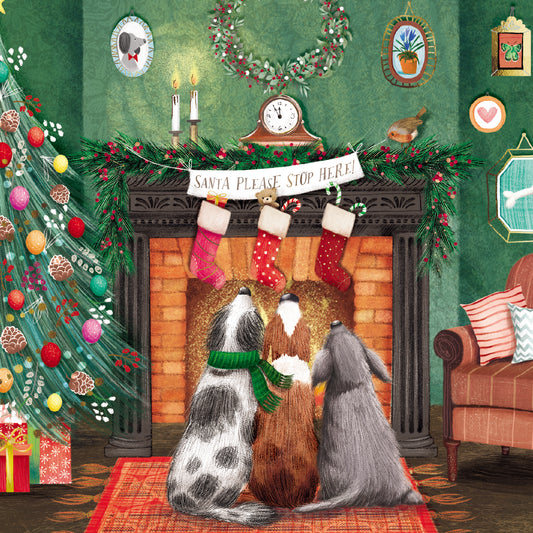 Christmas Cards Pack of 10 - Santa Please Stop Here