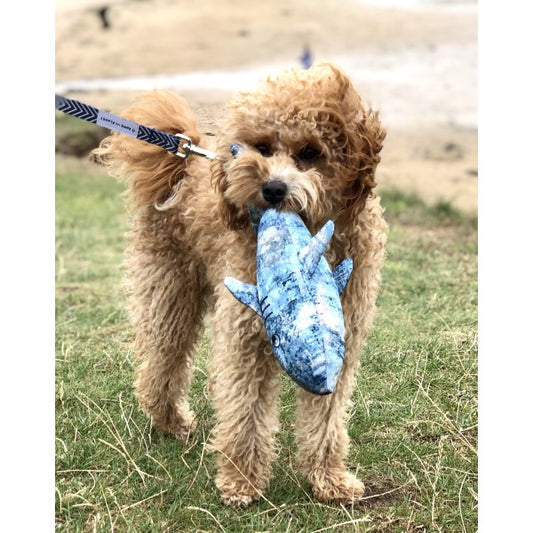 Eco Conscious Shark Dog Toy