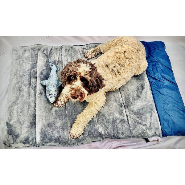 Eco Conscious Shark Dog Toy