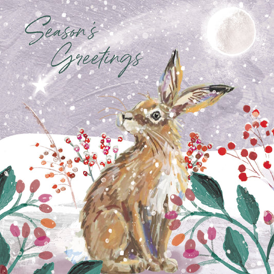 Christmas Cards Pack of 10 - Sitting Hare
