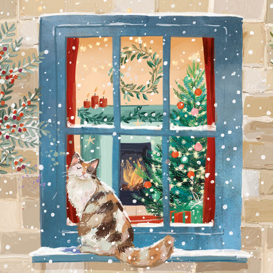 Christmas Cards Pack of 10 - Snowy Ledge Cat
