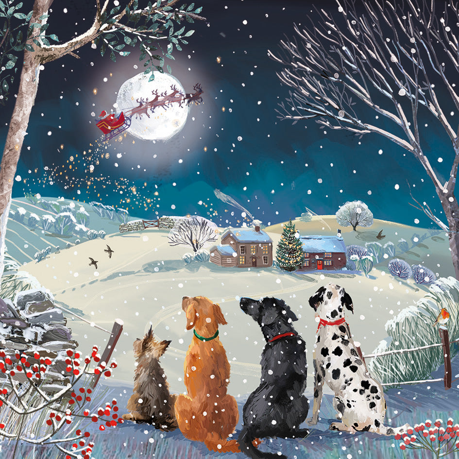 Christmas Cards Pack of 10 - Waiting for Santa
