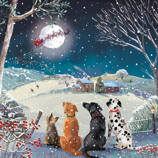 Christmas Cards Pack of 10 - Waiting for Santa