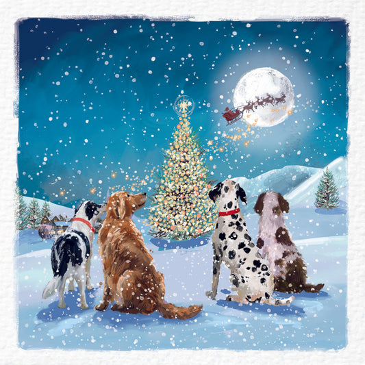 Christmas Cards Pack of 10 - Waiting For Santa