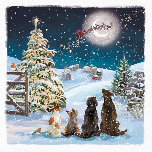 Christmas Cards Pack of 10 - Waiting For Santa