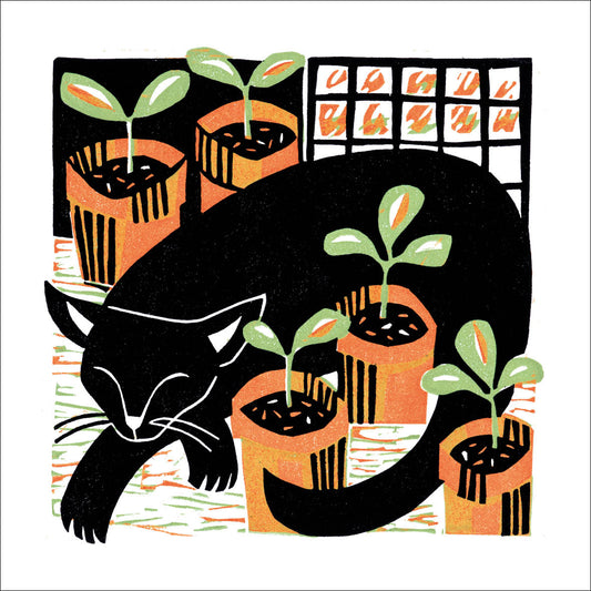 Amongst the Seedlings Greeting Card - by Manda Beeching