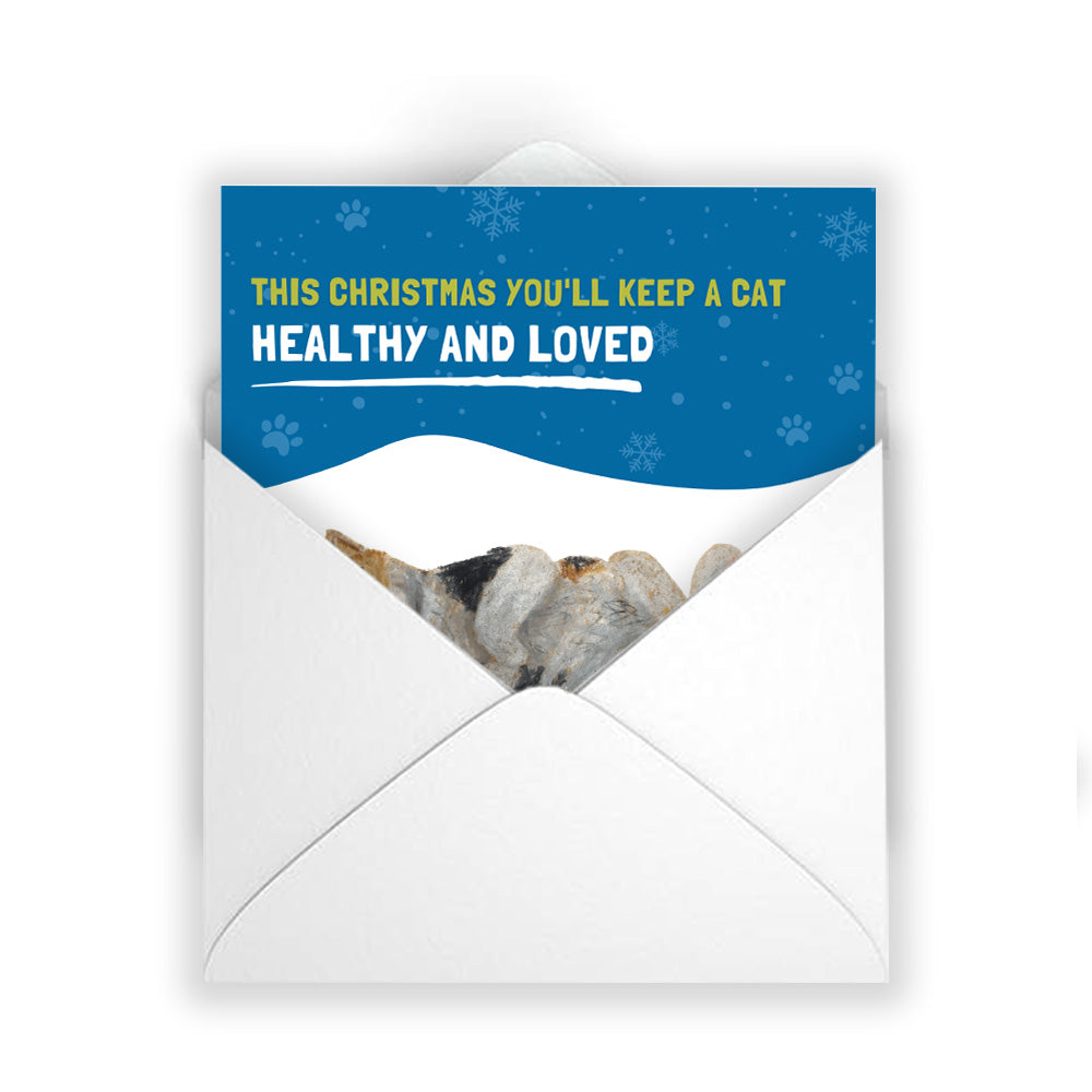 £15 Christmas Gift Donation Card - Keep a Cat Healthy & Loved