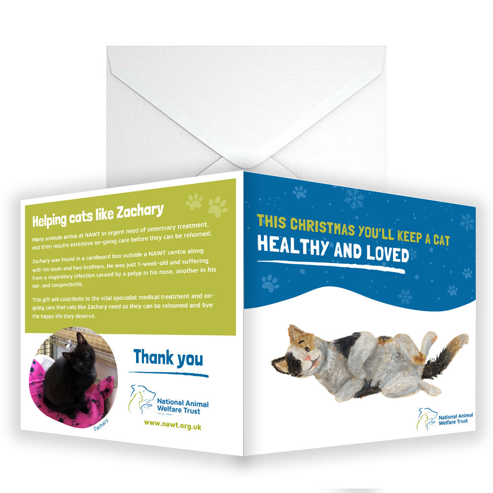 £15 Christmas Gift Donation Card - Keep a Cat Healthy & Loved