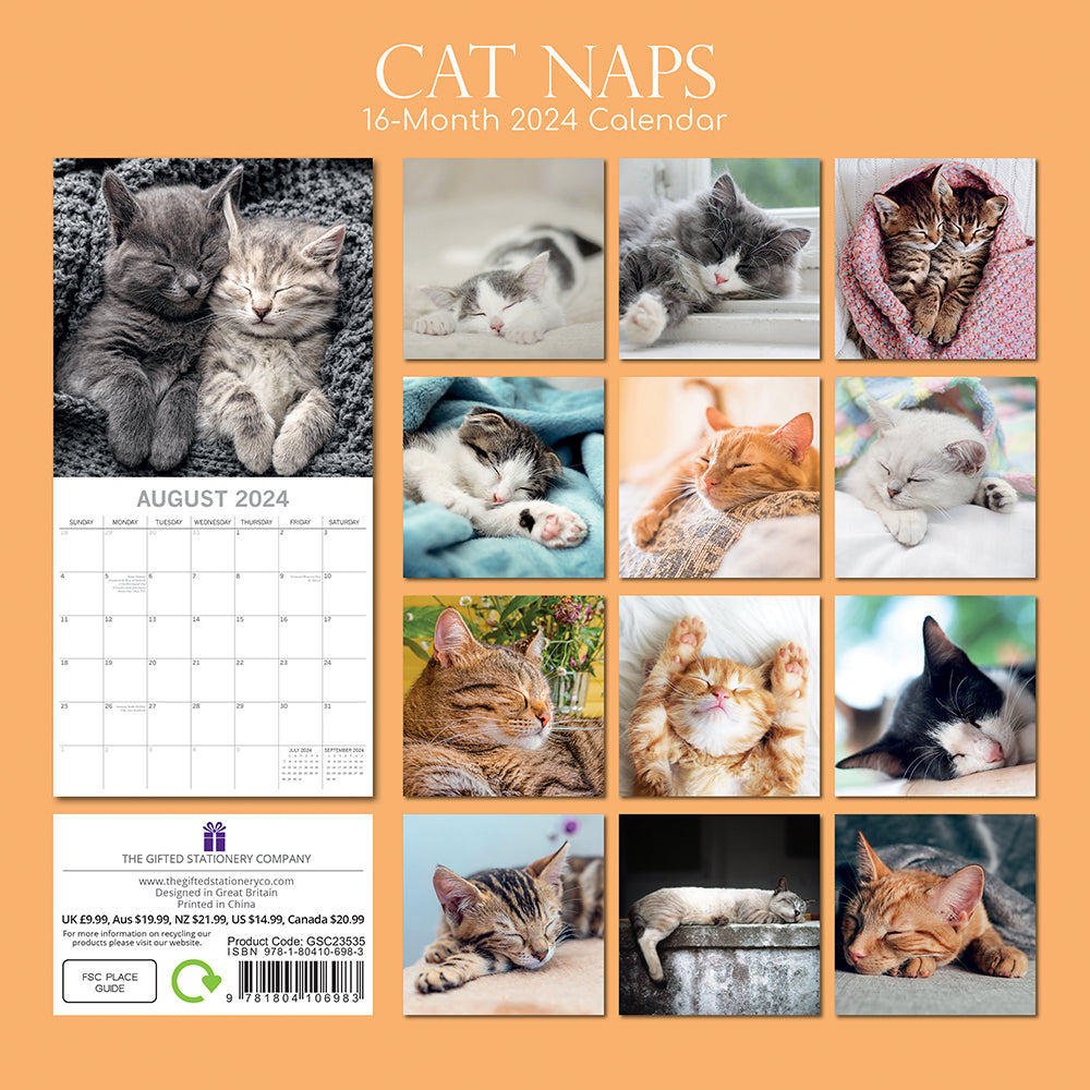 Cat Naps Square 2024 Calendar