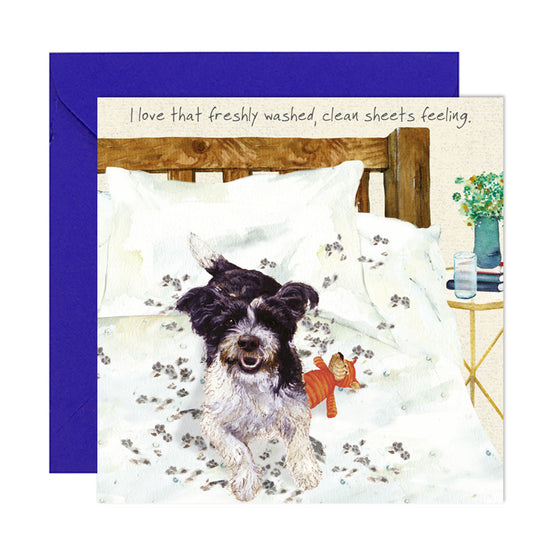 Cheeky Rescue Terrier 'Clean Bed' Greeting Card