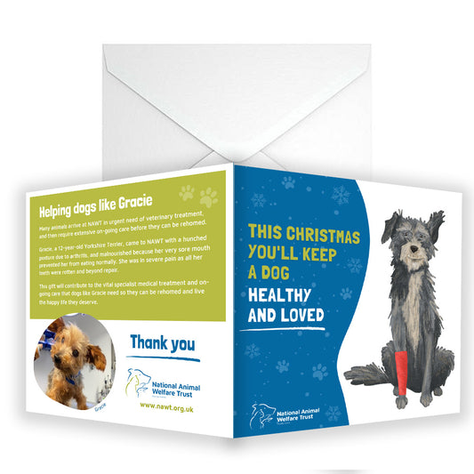 £15 Christmas Gifting Card - Keep a Dog Healthy & Loved