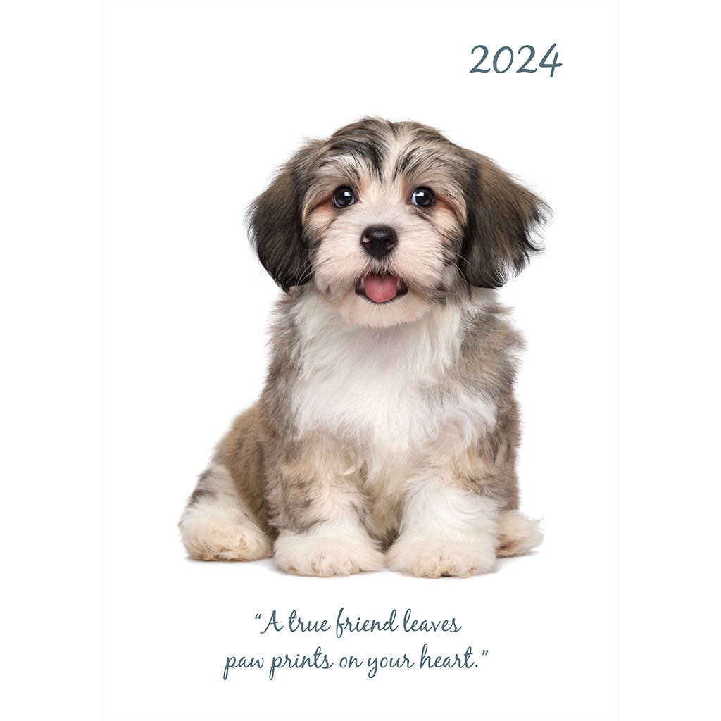 Adorable Dogs A5 Padded 2024 Diary