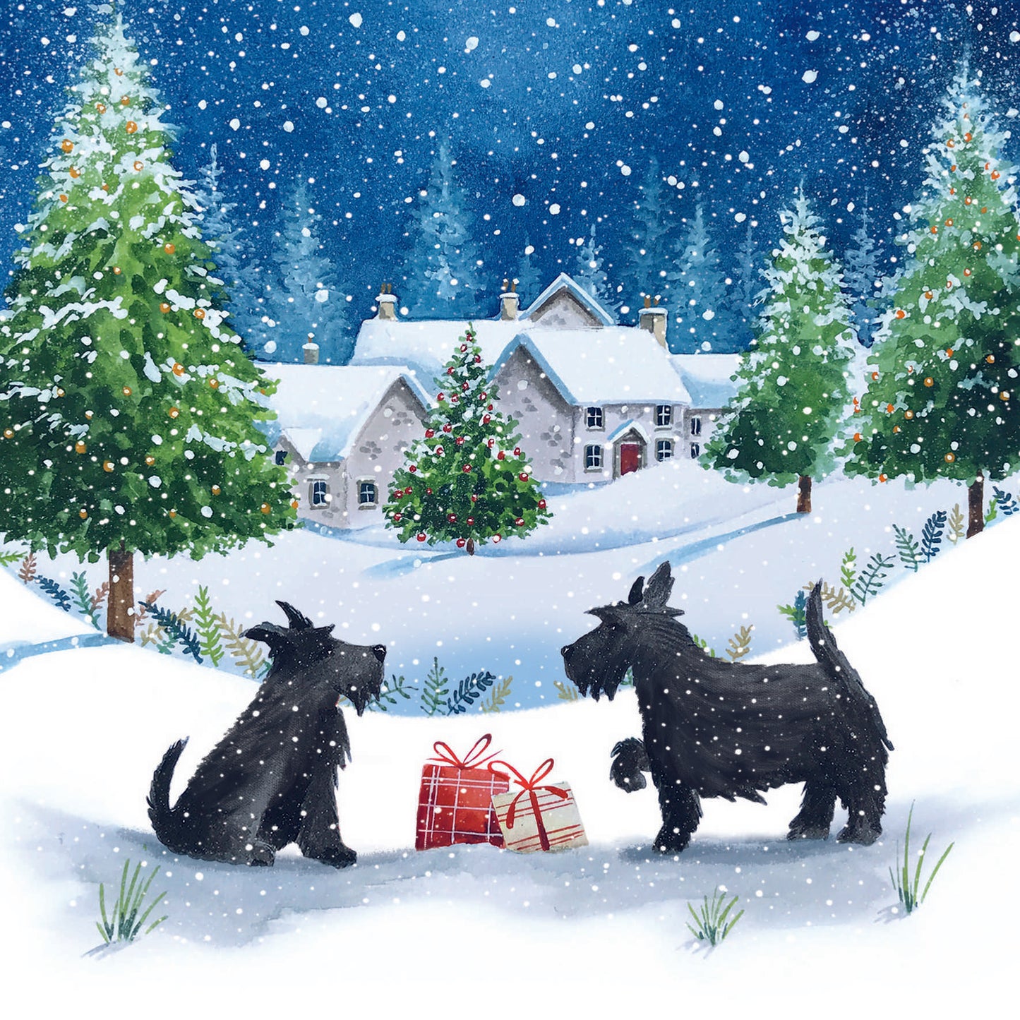 Christmas Cards Pack of 10 - Scottie Dogs in the Snow