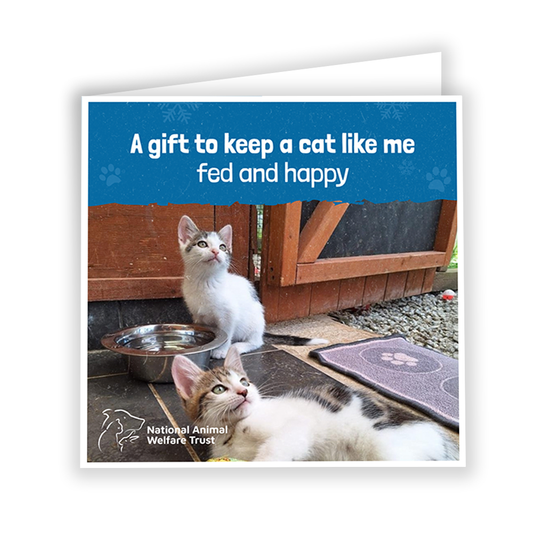 £5 Christmas Gift Donation Card - Keep a Cat Nourished and Happy
