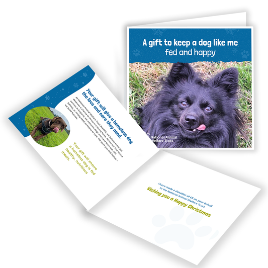 £5 Christmas Gift Donation Card - Keep a Dog Fed and Happy