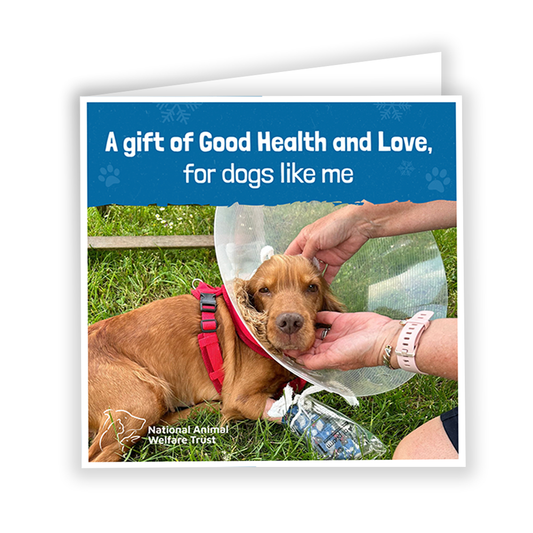£15 Christmas Gift Donation Card - Keep a Dog Healthy & Loved