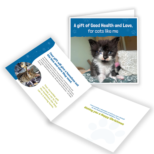 £15 Christmas Gift Donation Card - Keep a Cat Healthy & Loved