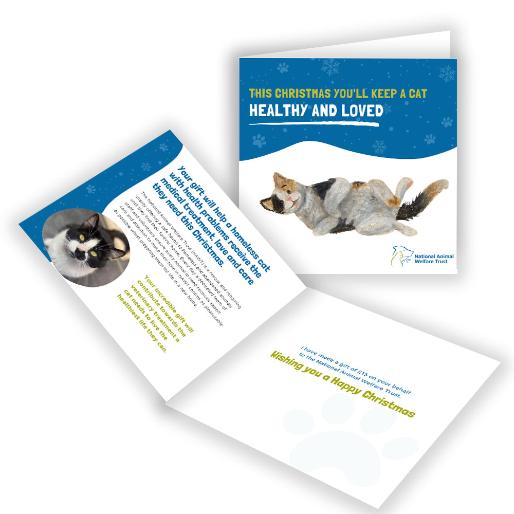 £15 Christmas Gift Donation Card - Keep a Cat Healthy & Loved