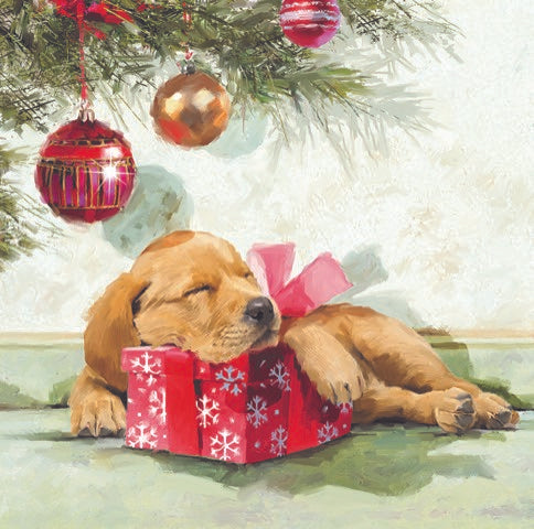 Christmas Cards Pack of 10 - Christmas Snooze