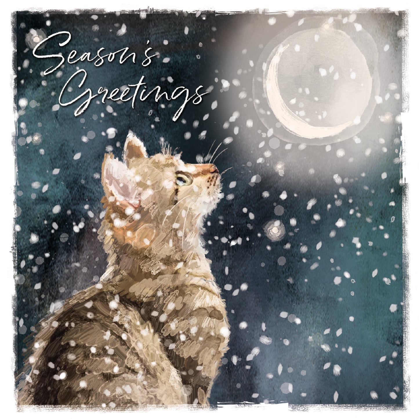 Christmas Cards Pack of 10 - Magical Moonlight