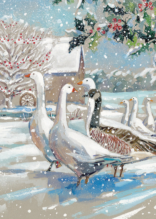 Christmas Cards Pack of 10 - Gaggle of Geese
