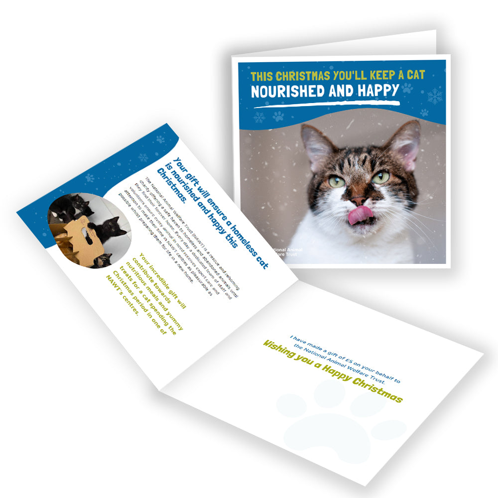 £5 Christmas Gift Donation Card - Keep a Cat Nourished and Happy