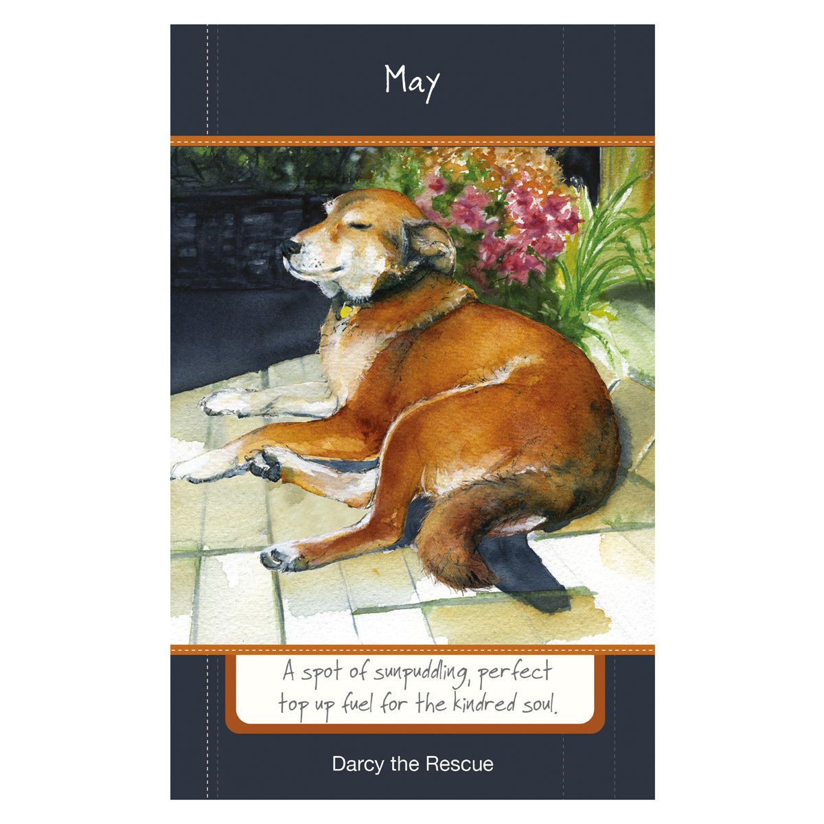 Scruffy Mutt 2025 Diary - by Little Dog Laughed